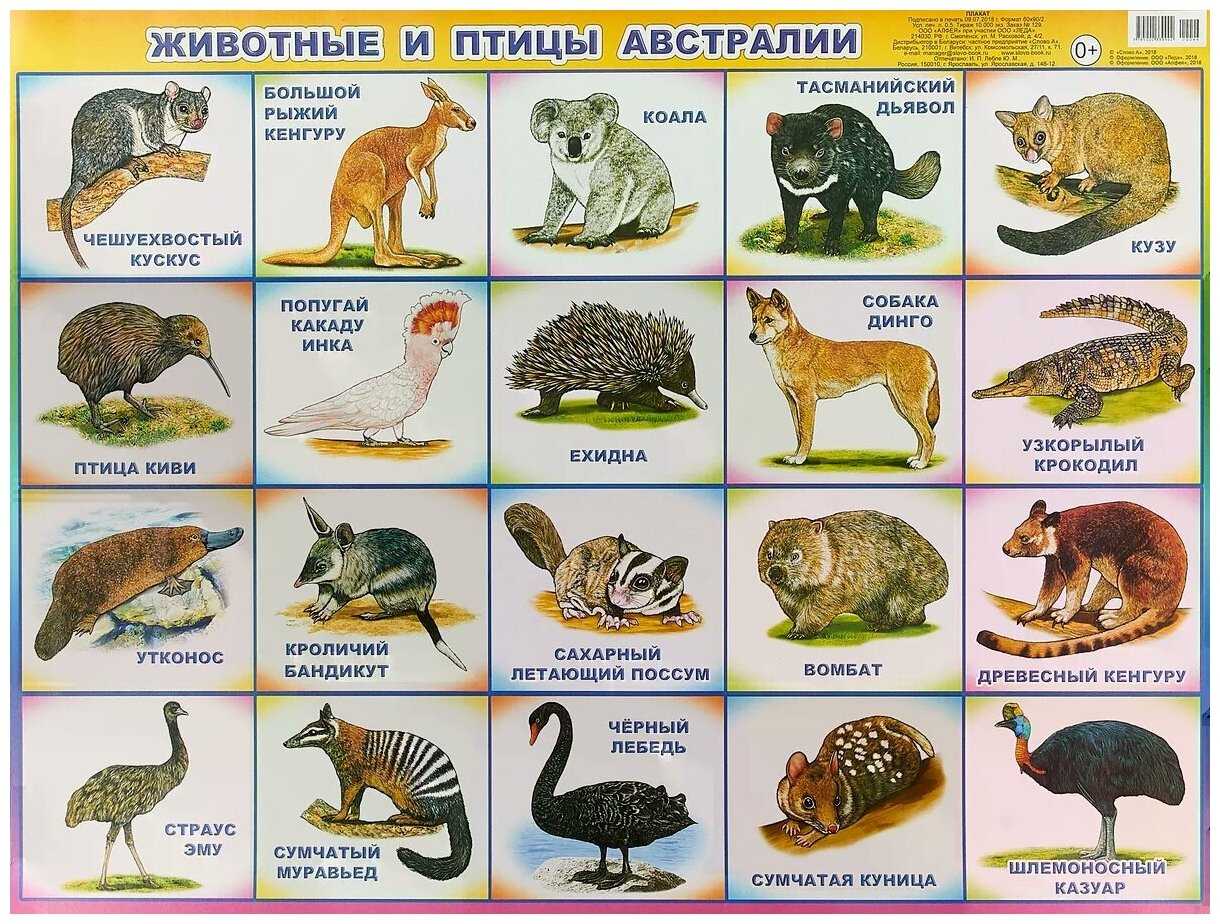 Презентация на тему западная европа