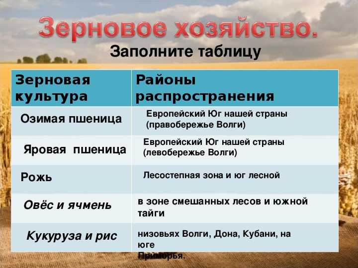 Овёс