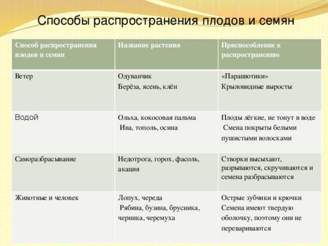 1. ботаника
                                читать 0 мин.