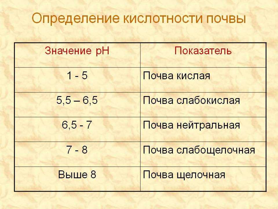 Как узнать кислотность почвы на участке народными средствами