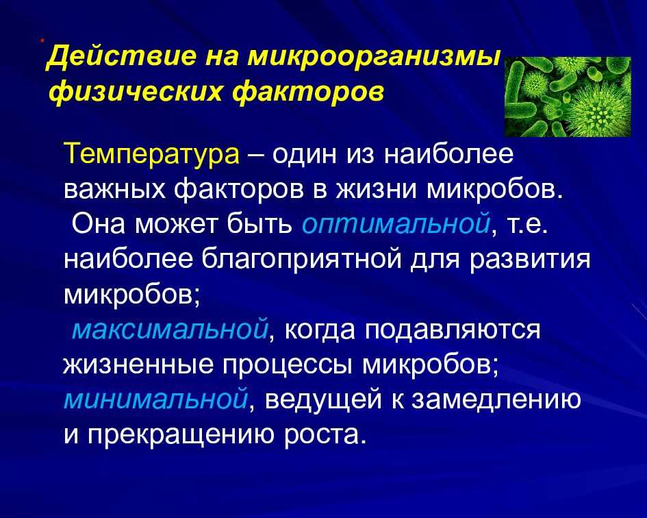 Глава 3 влияние факторов внешней среды на микроорганизмы