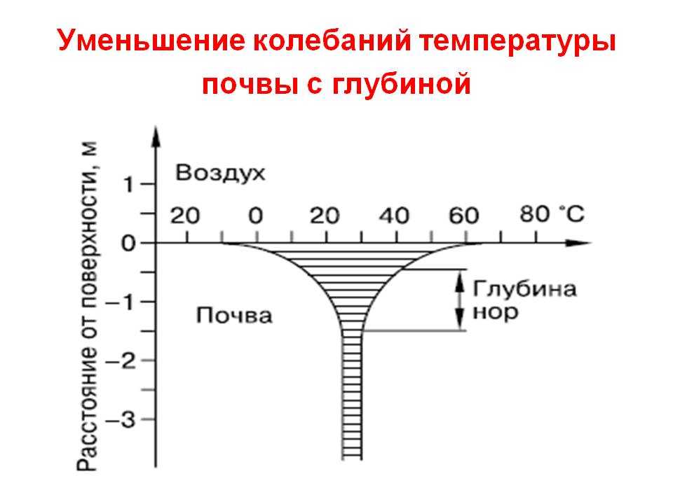 Тепловые свойства и тепловой режим почв - основные виды