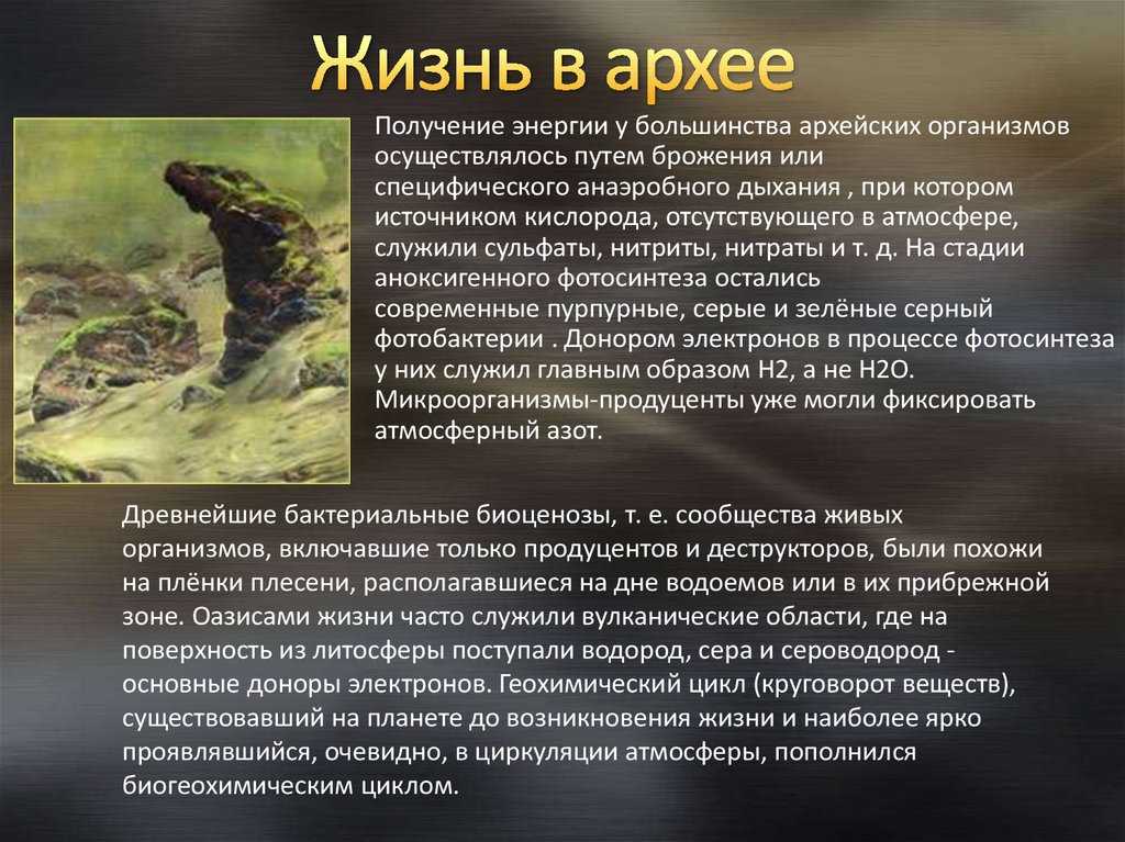 Биология. 10 класс