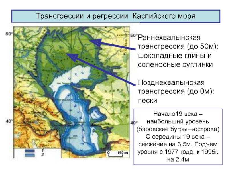 В средней юре в восточной части баренцева моря начинается новая трансгрессивная фаза при умеренном темпе осадконакопления