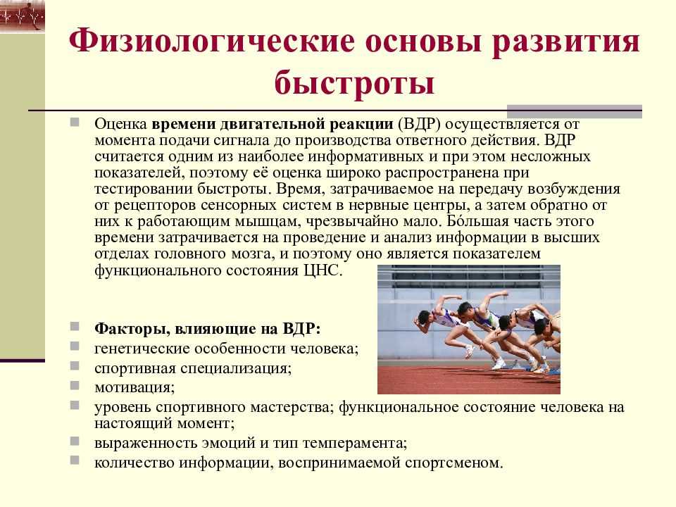 Топография работающих мышц