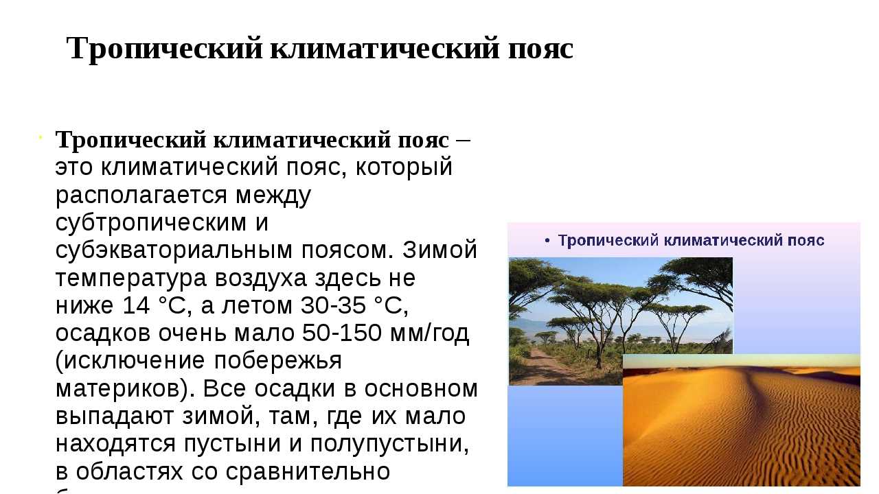 Какие факторы определяют набор культур в сельском хозяйстве разных стран