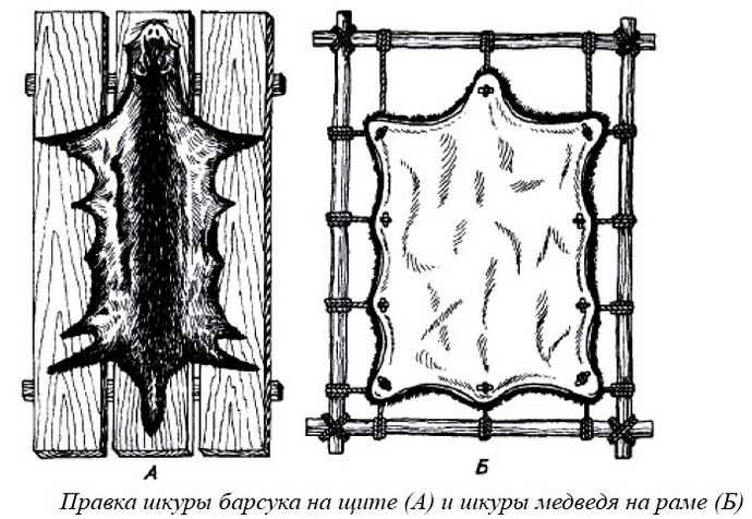 Как хранить шкуры?