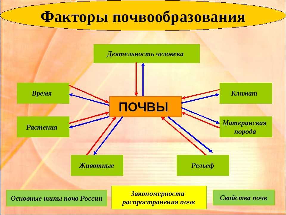 Факторы почвообразования основных типов почв