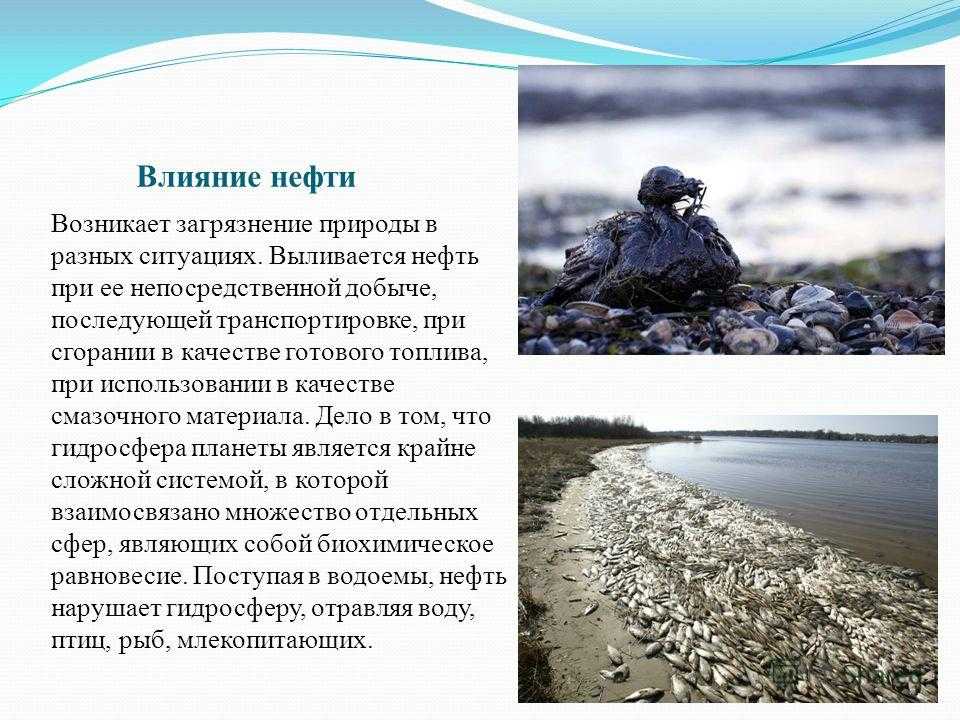 Экология нефти: экологические проблемы добычи и переработки нефти, их решение