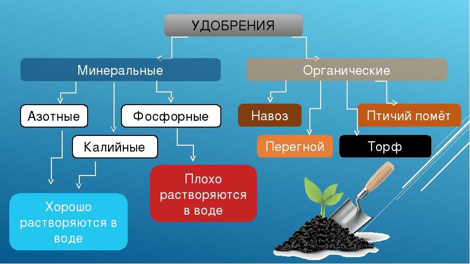 Азотные удобрения