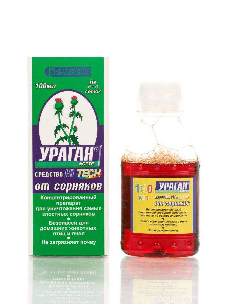 Характеристика основных видов сорных растений