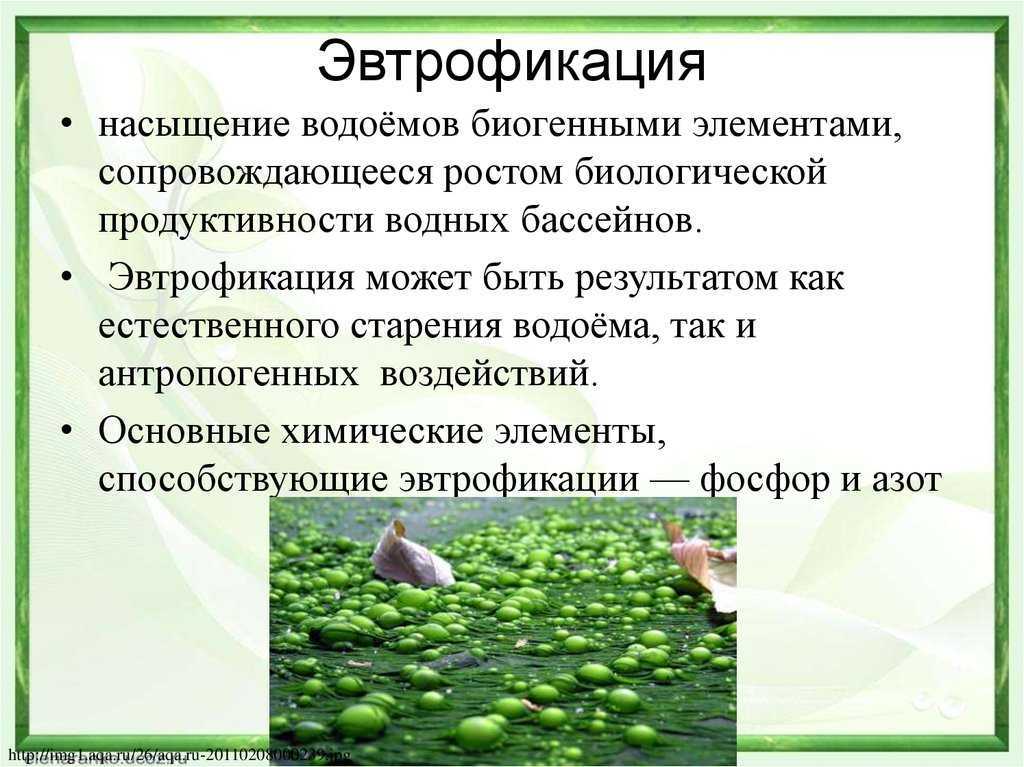 Зарастание и заиление водоемов [1966 мовчан в.а. - жизнь рыб и их разведение]