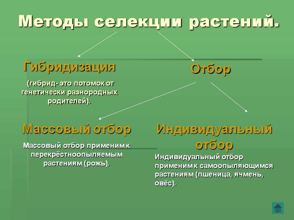 Селекция растений — конспект (часть 1)