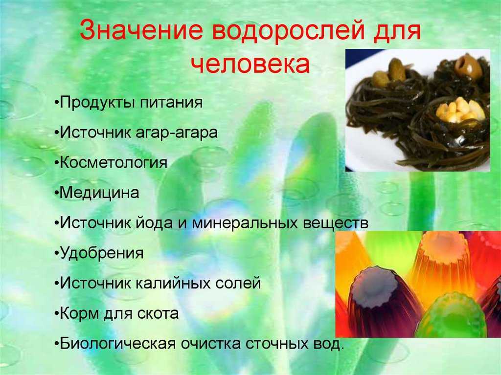 Адаптация у растений