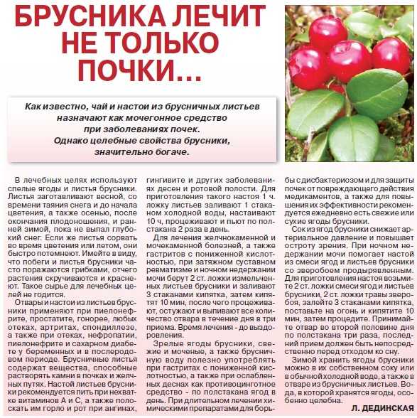 Брусника – 7 полезных свойств ягод для здоровья, красоты и долголетия