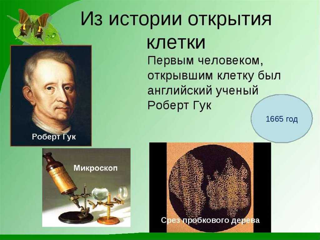История открытия клеток