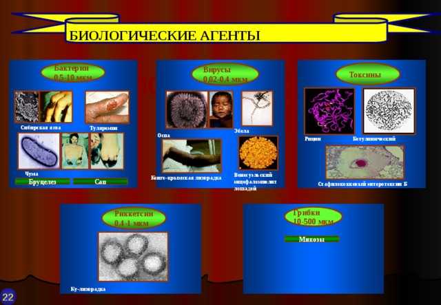 Получение биологически активных веществ методами генетической и клеточной инженерии - антимикробные агенты - фармацевтическая микробиология - в. а. галынкин - 2015