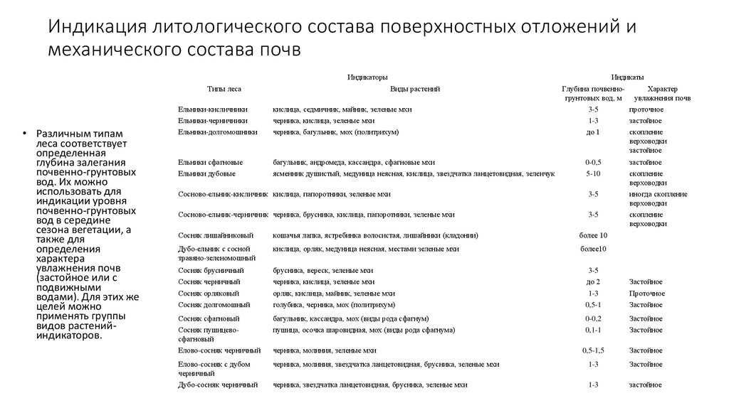 Сайт   педагога дополнительного образования горобинской ларисы владимировны: школьное лесничество "кедр" 2 год обучения