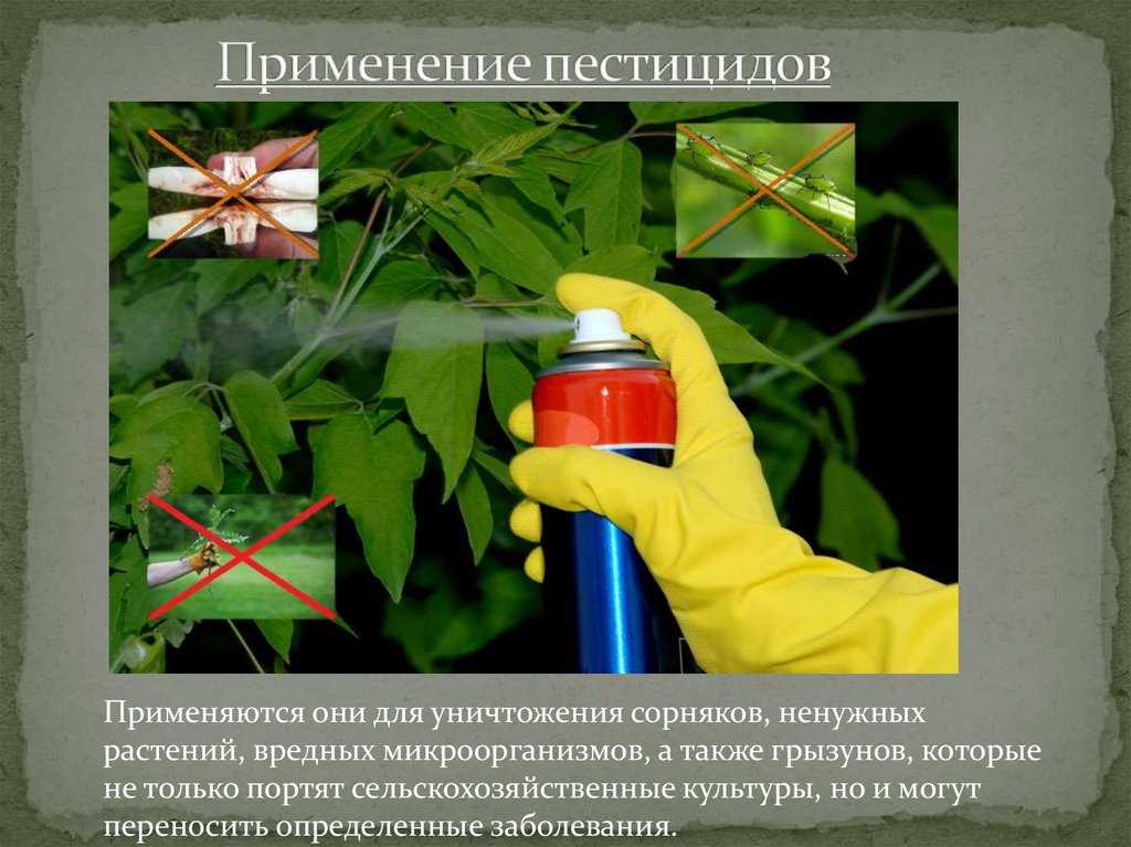 Сельскохозяйственные и мелиоративные машины