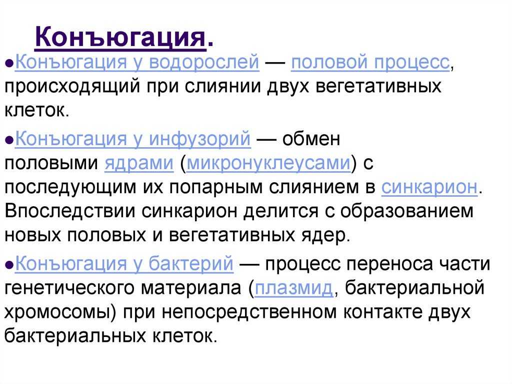 Мейоз в егэ по биологии: задания и теория ⋆ maximum блог