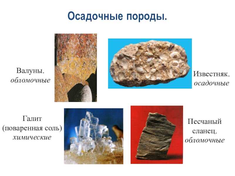 Осадочные горные породы | наука | fandom