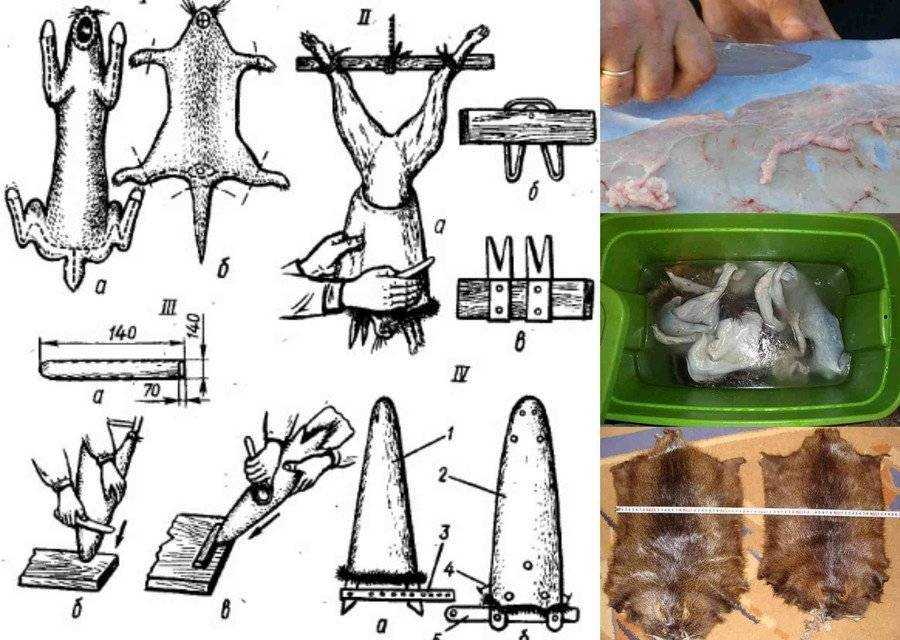 Секреты выделки шкур