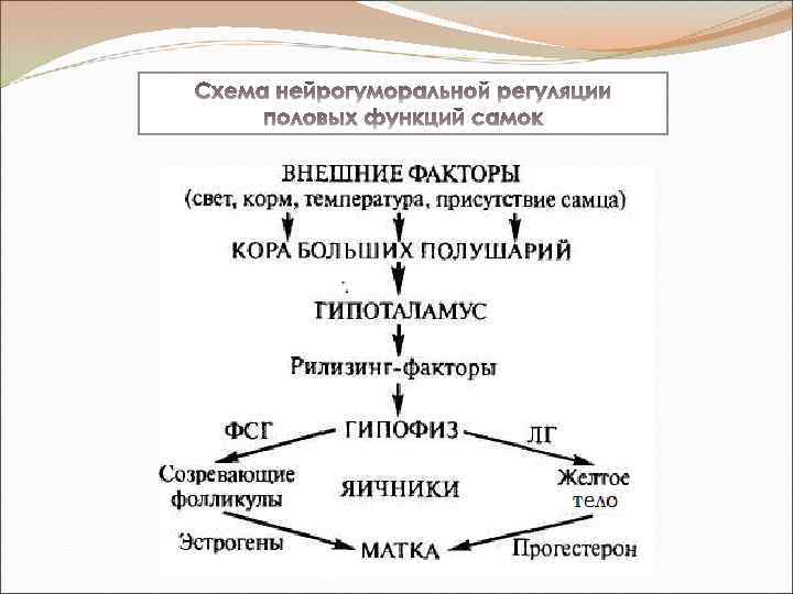 Стимуляция половых функций коров и повышение их оплодотворяемости