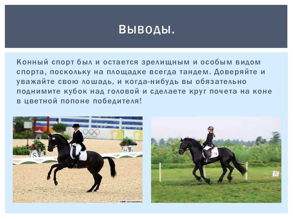 Спорт в башкортостане