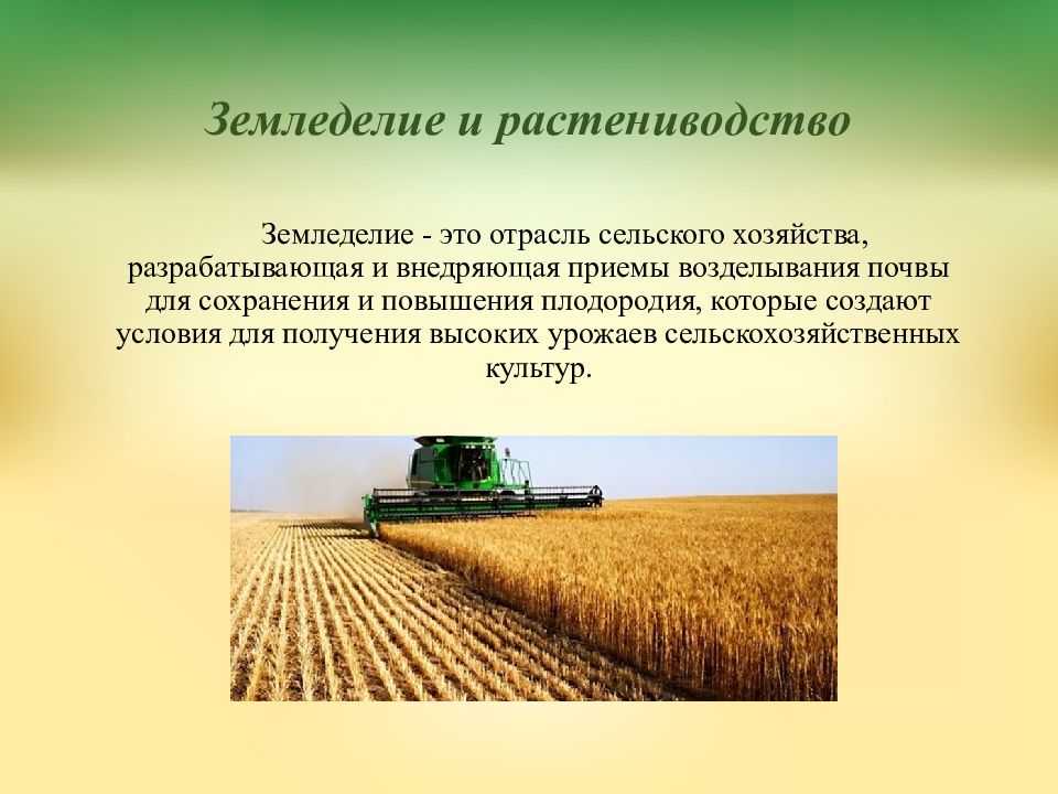 Схема технологического процесса производства пищевых яиц