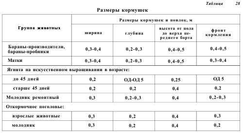 Условия содержания овец