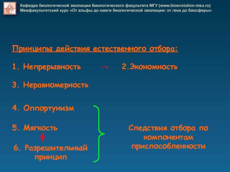 On-line кабинет александра болдачева 
: новации (книга) » общие суждения об эволюционной парадигме