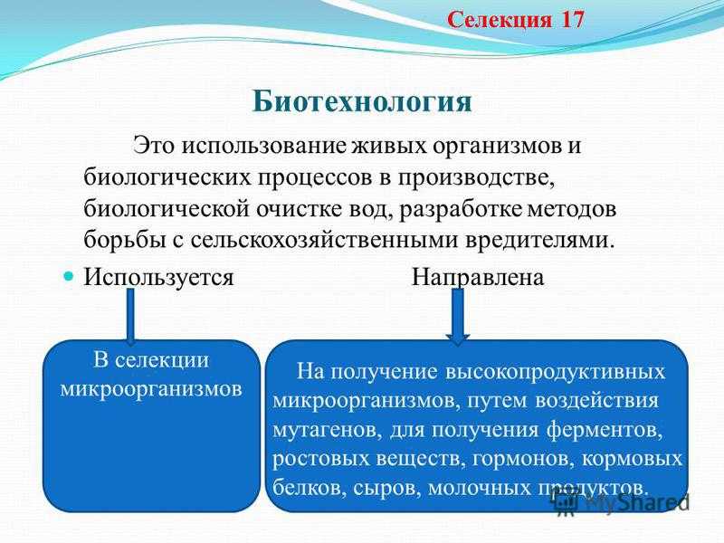 Селекция. биотехнология. | егэ по биологии