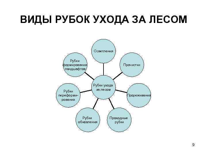 Рубка ухода в сосняках