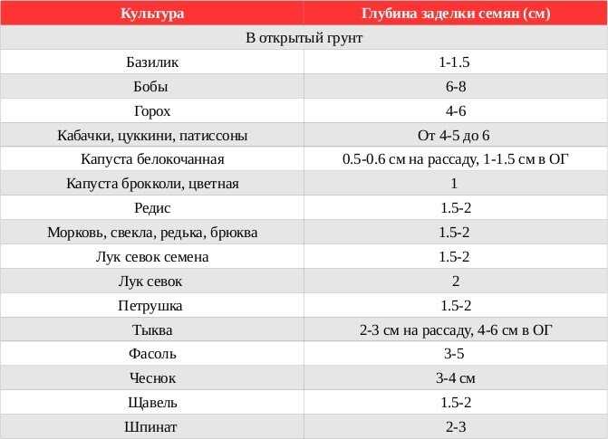 Сроки посадки лесных культур осенью