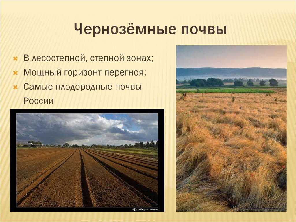 Майоров м. е. лесоводственно-экологическое прогнозирование типов леса и коренных древостоев беларуси для лесовосстановлени я минск 1997 г