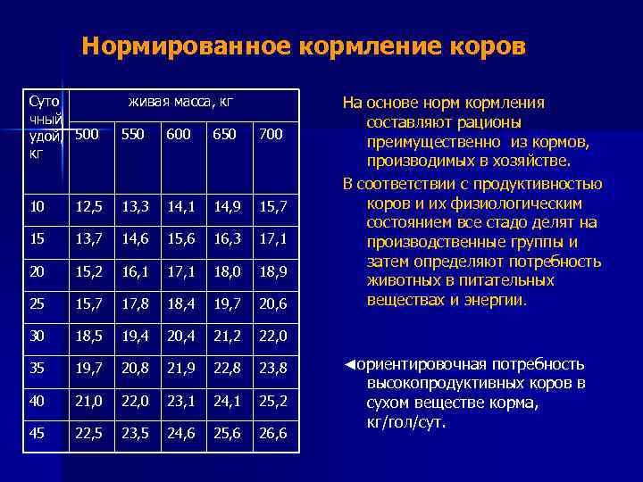 Практические рекомендации  по расчету годовой потребности в кормах — delyanka.com - все о нормированном кормлении