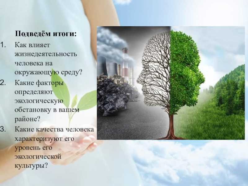 Как лесные пожары влияют на окружающую среду? | rusbase