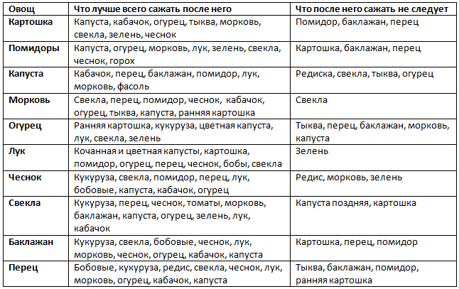 Посадка гороха семенами в открытый грунт, когда сеять весной