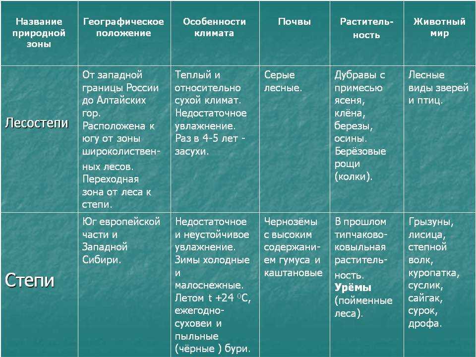 Евразийская степь