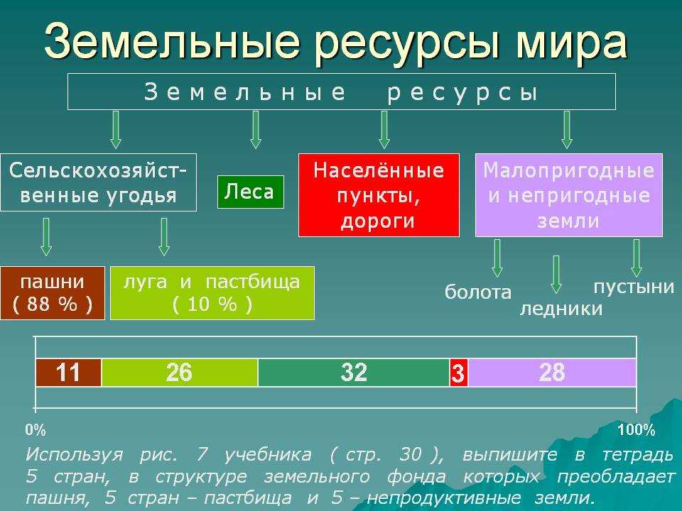 Глава 4. биосфера