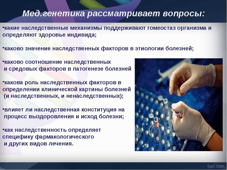 Глава 13. генетика развития[1]. генетика человека с основами общей генетики [учебное пособие]