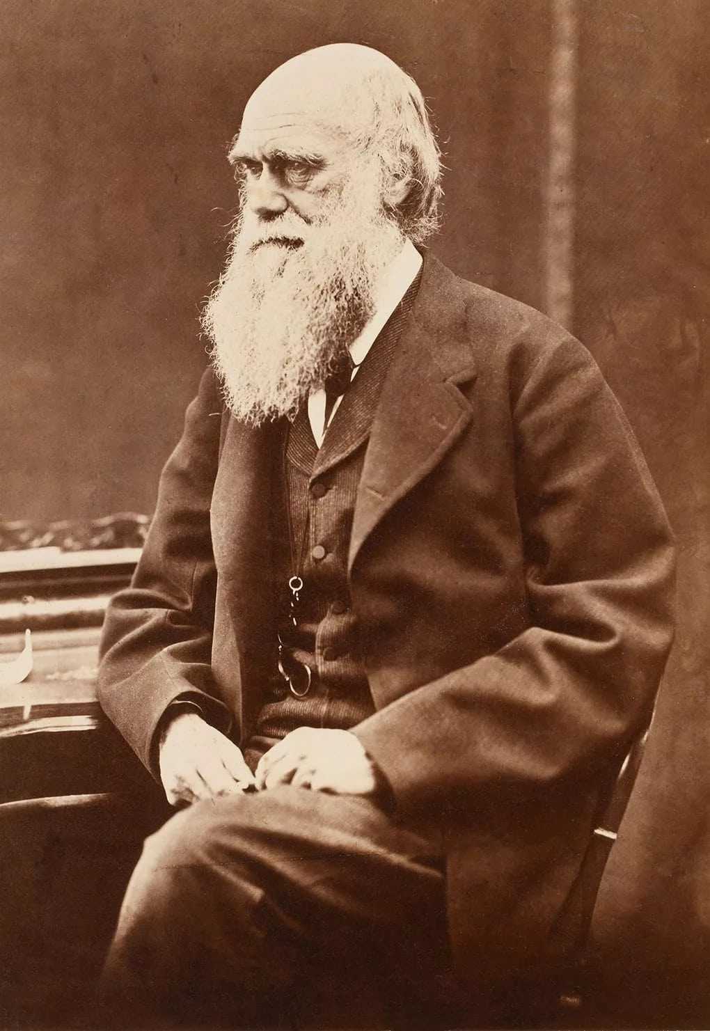 Что создал чарльз дарвин, история и список его изобретений и теорий