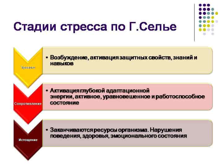 Презентация на тему "теория стресса г.селье. стресс и дистресс. значение этой теории для психотерапевтической практики"