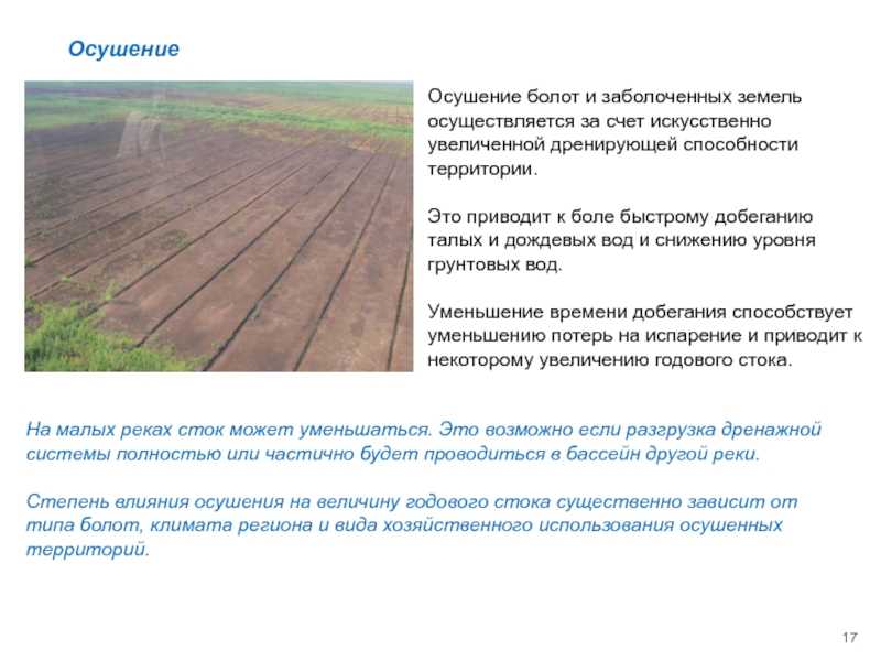 Осушение болота или создание искусственного водохранилища