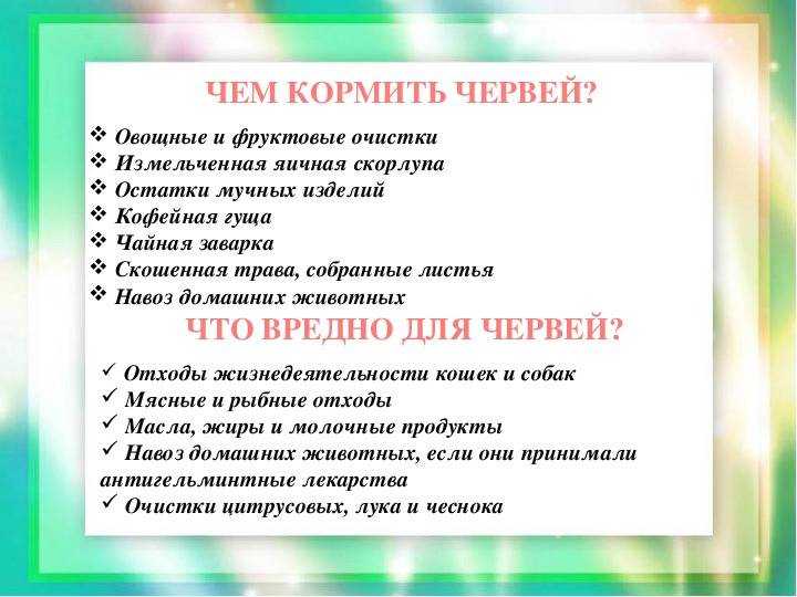 Калифорнийские черви - разведение в домашних условиях