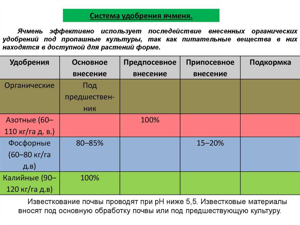 Ячмень в сельском хозяйстве