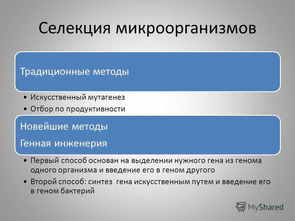 Методы селекции - определение, характеристика отбора, примеры