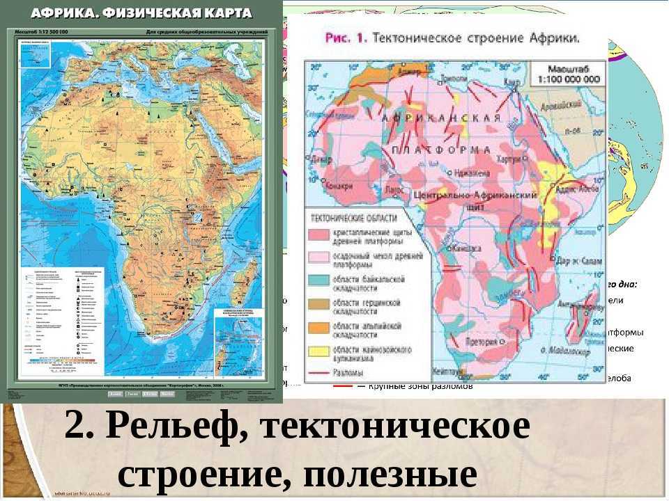 Тектоническое строение африки: какие плиты соответствуют?