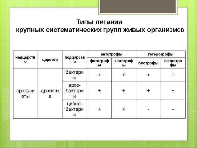 Автотрофы и гетеротрофы - определение, способы питания, значение