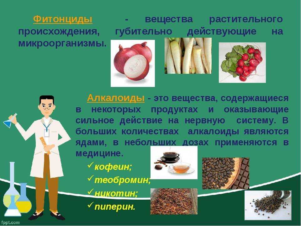 Биохимический состав сырья животного происхождения